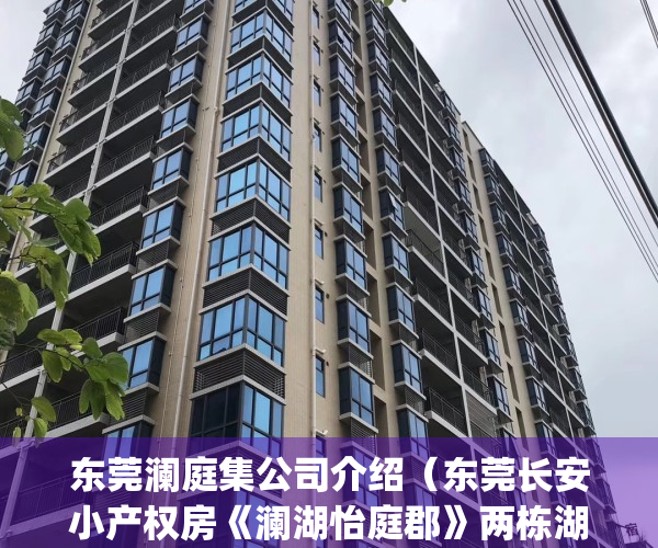 东莞澜庭集公司介绍（东莞长安小产权房《澜湖怡庭郡》两栋湖景房）(东莞澜庭集贸易)