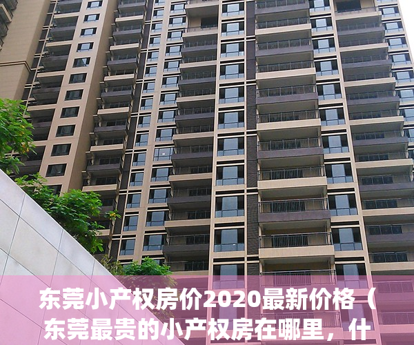 东莞小产权房价2020最新价格（东莞最贵的小产权房在哪里，什么价格？）(东莞小产权房价格走势)