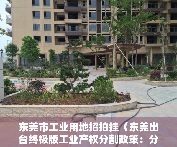 东莞市工业用地招拍挂（东莞出台终极版工业产权分割政策：分割单位之小堪比住宅商铺）