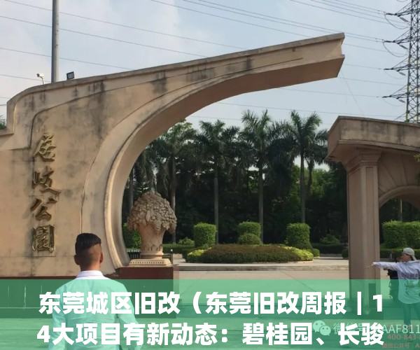 东莞城区旧改（东莞旧改周报｜14大项目有新动态：碧桂园、长骏等操刀）(东莞2021旧改)