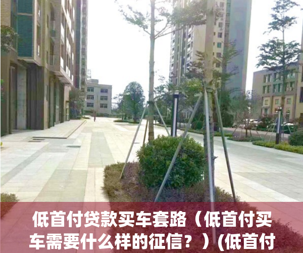 低首付贷款买车套路（低首付买车需要什么样的征信？）(低首付贷款买车好下款吗)