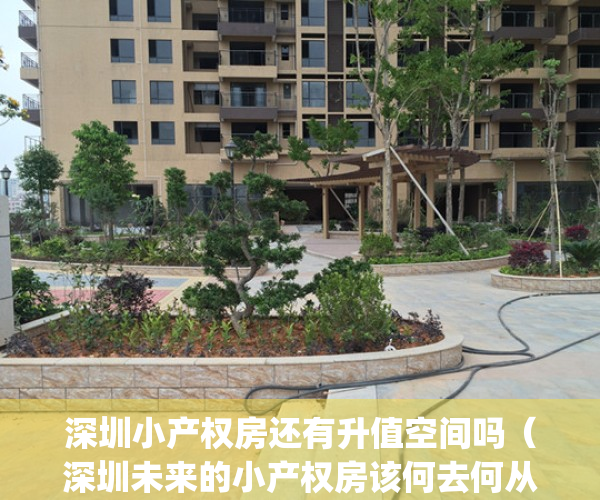 深圳小产权房还有升值空间吗（深圳未来的小产权房该何去何从？）(2021深圳小产权房会涨价吗)