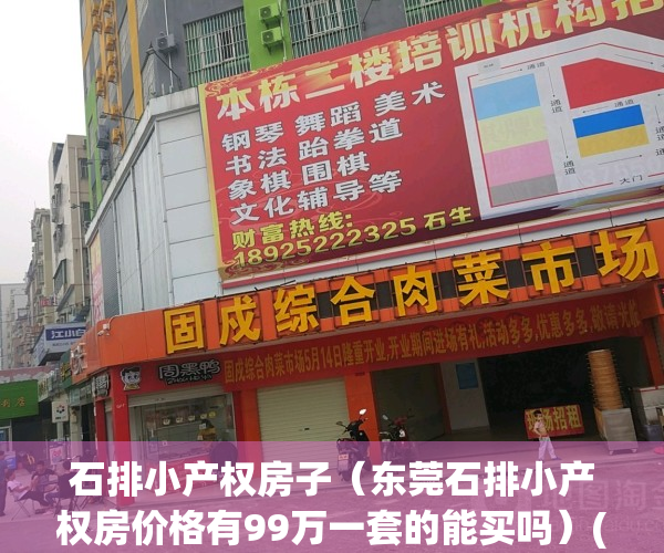 石排小产权房子（东莞石排小产权房价格有99万一套的能买吗）(东莞石排小区)