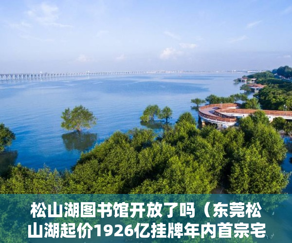 松山湖图书馆开放了吗（东莞松山湖起价1926亿挂牌年内首宗宅地 邻近松山湖图书馆）