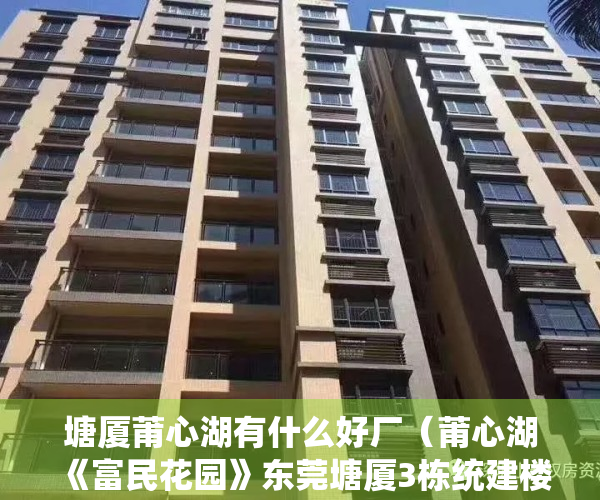 塘厦莆心湖有什么好厂（莆心湖《富民花园》东莞塘厦3栋统建楼出售 均价4380元起）