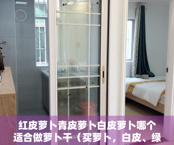红皮萝卜青皮萝卜白皮萝卜哪个适合做萝卜干（买萝卜，白皮、绿皮和红皮，哪个更好？其实区别很大，别再挑错了）