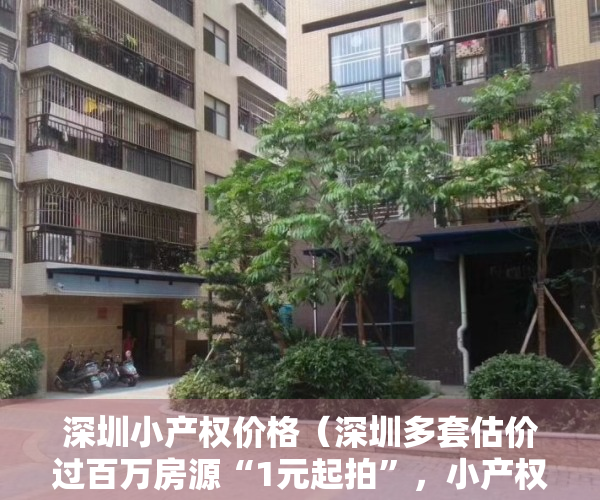 深圳小产权价格（深圳多套估价过百万房源“1元起拍”，小产权房赫然位列其中，捡漏还是陷阱？）