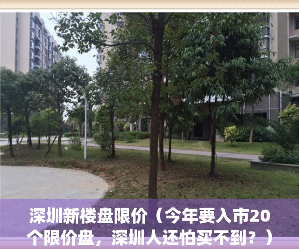 深圳新楼盘限价（今年要入市20个限价盘，深圳人还怕买不到？）(深圳楼市限价令)