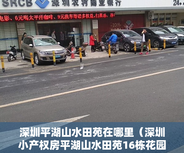 深圳平湖山水田苑在哪里（深圳小产权房平湖山水田苑16栋花园小区房）