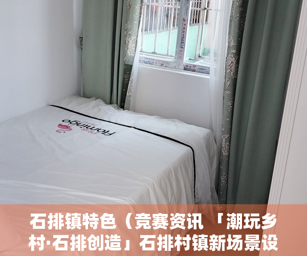 石排镇特色（竞赛资讯 「潮玩乡村·石排创造」石排村镇新场景设计大赛入围公布）