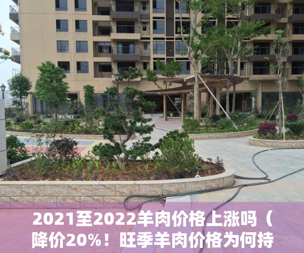 2021至2022羊肉价格上涨吗（降价20%！旺季羊肉价格为何持续下跌？2023年春节前还能涨吗？）