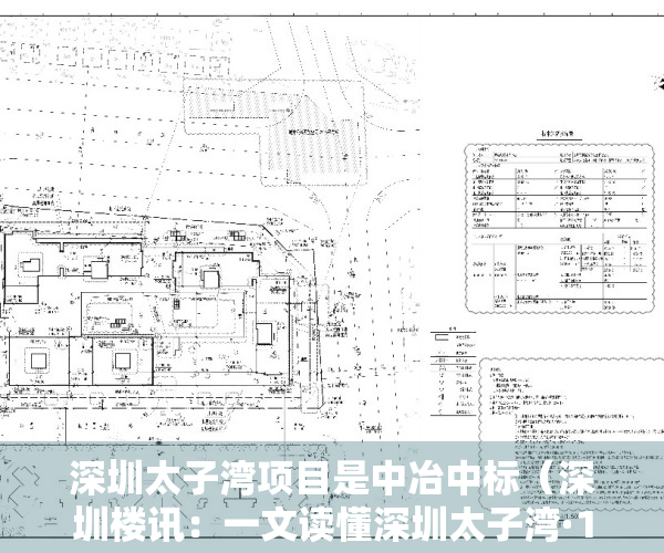 深圳太子湾项目是中冶中标（深圳楼讯：一文读懂深圳太子湾·108府优缺点!分析一下太子湾·108府值得买吗）