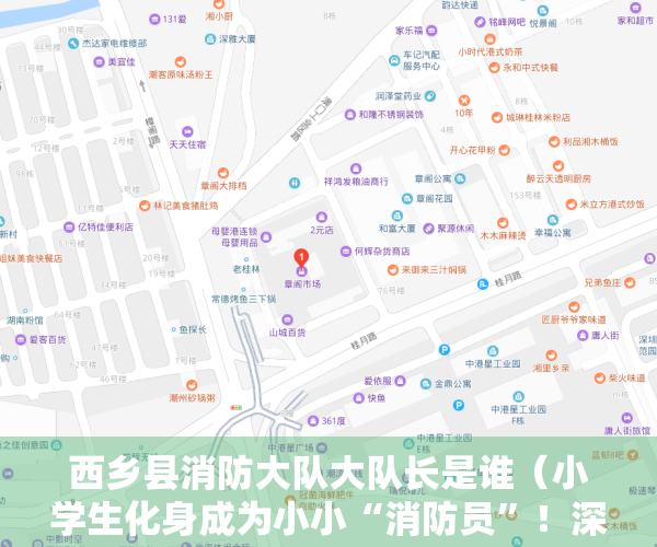 西乡县消防大队大队长是谁（小学生化身成为小小“消防员”！深圳宝安西乡消防救援站组织开展消防站开放日活动）