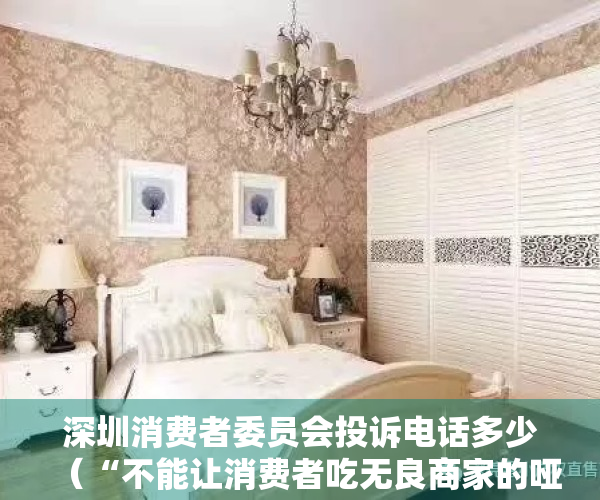 深圳消费者委员会投诉电话多少（“不能让消费者吃无良商家的哑巴亏”——专访深圳市消委会百人律师团团长陈伟）