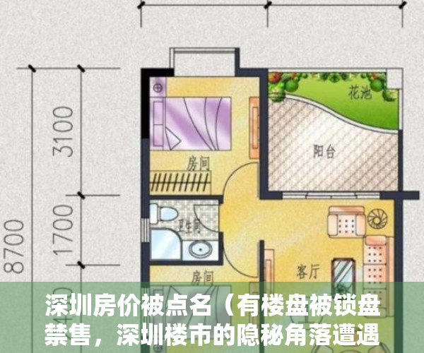深圳房价被点名（有楼盘被锁盘禁售，深圳楼市的隐秘角落遭遇监管重锤）