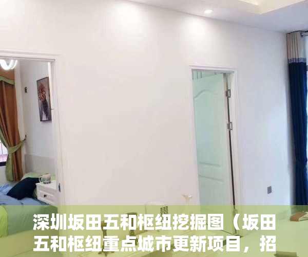 深圳坂田五和枢纽挖掘图（坂田五和枢纽重点城市更新项目，招商蛇口开发，项目有资源！）