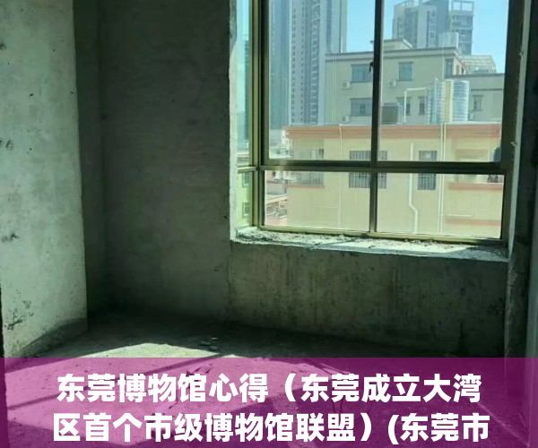 东莞博物馆心得（东莞成立大湾区首个市级博物馆联盟）(东莞市博物馆开馆时间)