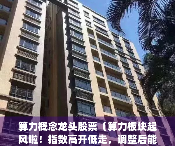 算力概念龙头股票（算力板块起风啦！指数高开低走，调整后能买吗？）(算力 g)