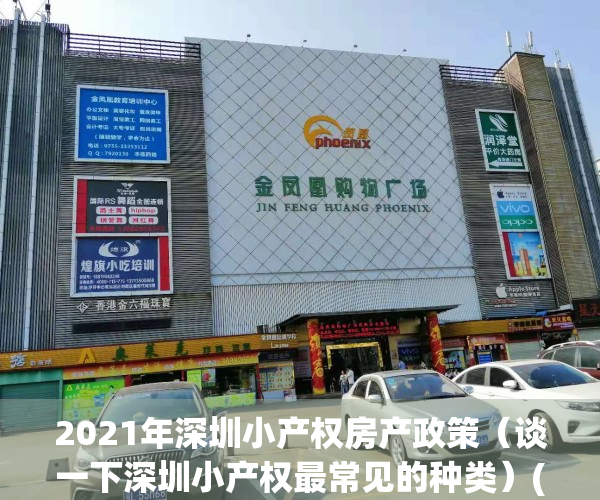2021年深圳小产权房产政策（谈一下深圳小产权最常见的种类）(深圳 小产权 政策)
