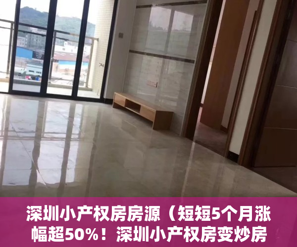 深圳小产权房房源（短短5个月涨幅超50%！深圳小产权房变炒房客新宠）