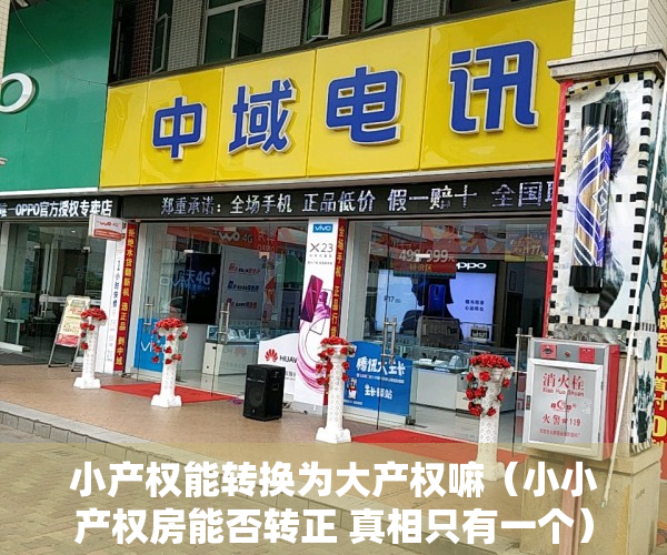 小产权能转换为大产权嘛（小小产权房能否转正 真相只有一个）