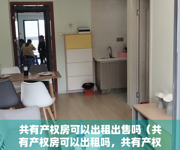 共有产权房可以出租出售吗（共有产权房可以出租吗，共有产权人是如何规定的？）