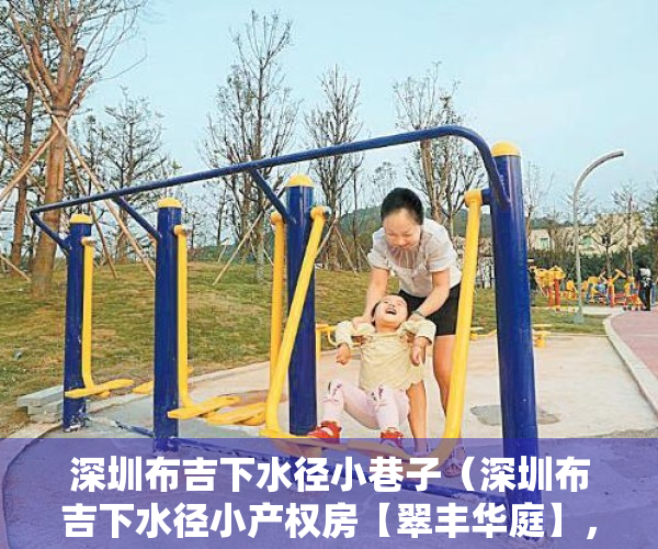 深圳布吉下水径小巷子（深圳布吉下水径小产权房【翠丰华庭】，地铁旁带学位可落户！）