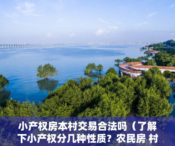 小产权房本村交易合法吗（了解下小产权分几种性质？农民房 村委房 大红本房 有什么不同）