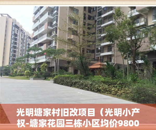 光明塘家村旧改项目（光明小产权-塘家花园三栋小区均价9800平带精装修）