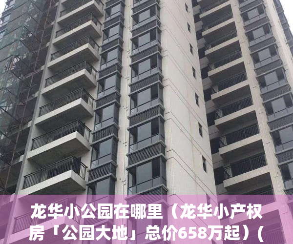 龙华小公园在哪里（龙华小产权房「公园大地」总价658万起）(龙华新建的公园)
