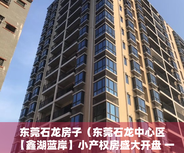 东莞石龙房子（东莞石龙中心区【鑫湖蓝岸】小产权房盛大开盘 一线江景洋房）
