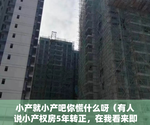 小产就小产吧你慌什么呀（有人说小产权房5年转正，在我看来即使转正也不会是红本房产证）