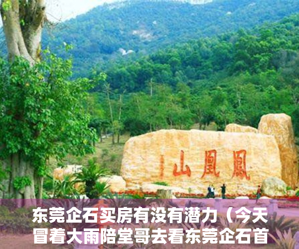 东莞企石买房有没有潜力（今天冒着大雨陪堂哥去看东莞企石首付5万房子两房才总价20来万）