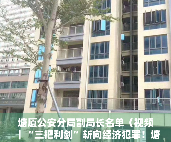 塘厦公安分局副局长名单（视频｜“三把利剑”斩向经济犯罪！塘厦公安侦破假冒知名手机、热水器系列案）