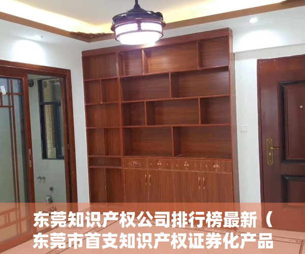 东莞知识产权公司排行榜最新（东莞市首支知识产权证券化产品正式发行）