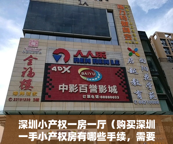 深圳小产权一房一厅（购买深圳一手小产权房有哪些手续，需要注意事项？）