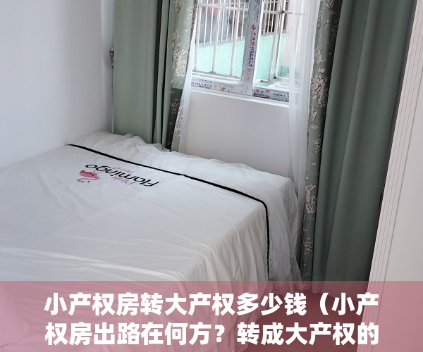 小产权房转大产权多少钱（小产权房出路在何方？转成大产权的可能性有多大？）