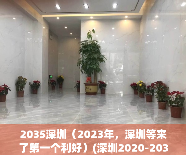 2035深圳（2023年，深圳等来了第一个利好）(深圳2020-2035)