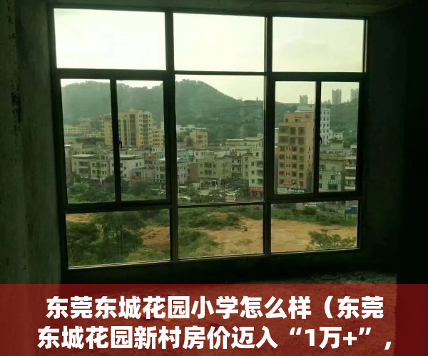 东莞东城花园小学怎么样（东莞东城花园新村房价迈入“1万+”，最贵的小区均价超过4万平）