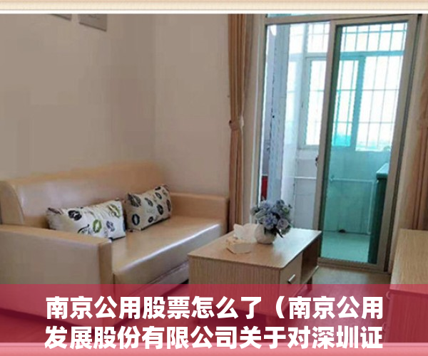南京公用股票怎么了（南京公用发展股份有限公司关于对深圳证券交易所关注函的回复公告）