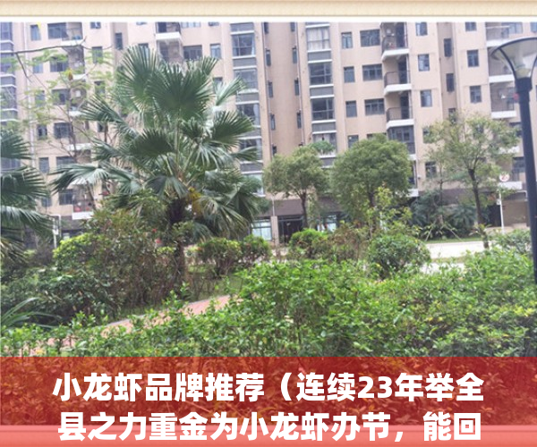 小龙虾品牌推荐（连续23年举全县之力重金为小龙虾办节，能回本吗？）(全国小龙虾品牌连锁)