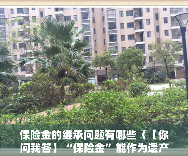 保险金的继承问题有哪些（【你问我答】“保险金”能作为遗产被继承吗？）