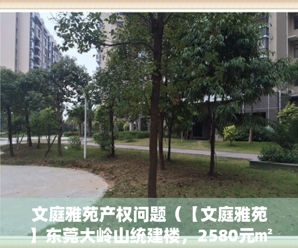 文庭雅苑产权问题（【文庭雅苑】东莞大岭山统建楼，2580元㎡起，生活配套齐全）