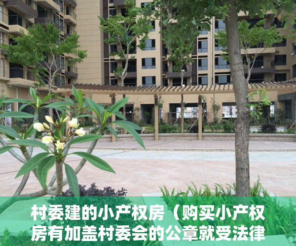 村委建的小产权房（购买小产权房有加盖村委会的公章就受法律保护？如何理解一户一宅）