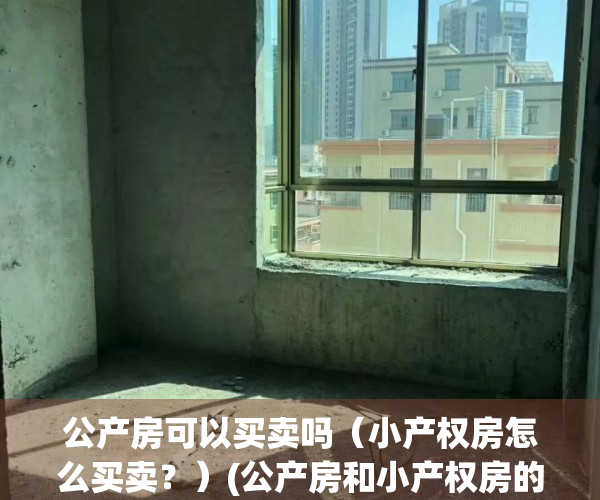 公产房可以买卖吗（小产权房怎么买卖？）(公产房和小产权房的区别)