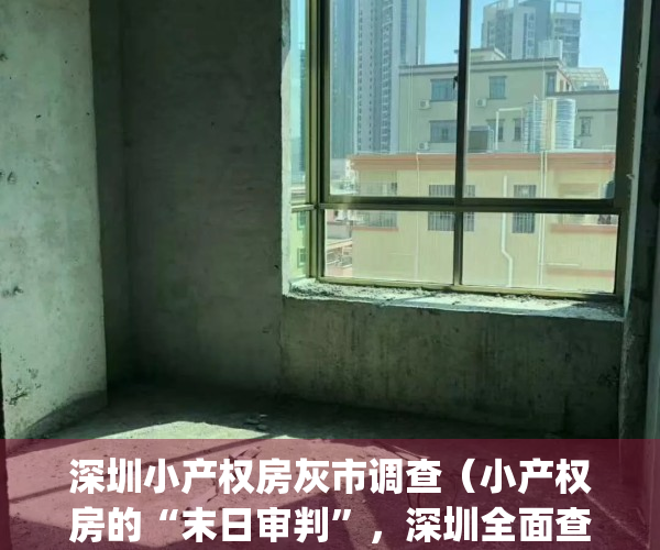 深圳小产权房灰市调查（小产权房的“末日审判”，深圳全面查处交易）(深圳小产权房未来如何处置)