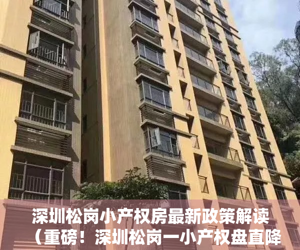 深圳松岗小产权房最新政策解读（重磅！深圳松岗一小产权盘直降20万，三房总价仅61万，）