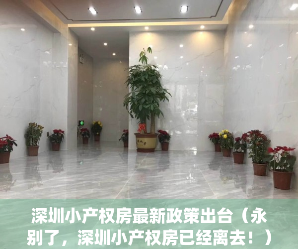 深圳小产权房最新政策出台（永别了，深圳小产权房已经离去！）(深圳关于小产权房的最新政策法规)