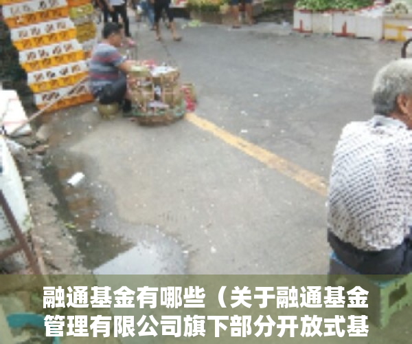 融通基金有哪些（关于融通基金管理有限公司旗下部分开放式基金在腾安基金销售（深圳）有限公司开通转换业务的公告）