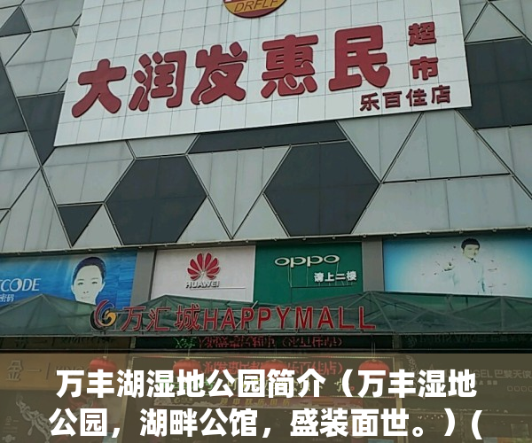 万丰湖湿地公园简介（万丰湿地公园，湖畔公馆，盛装面世。）(万丰湖湿地公园位置)